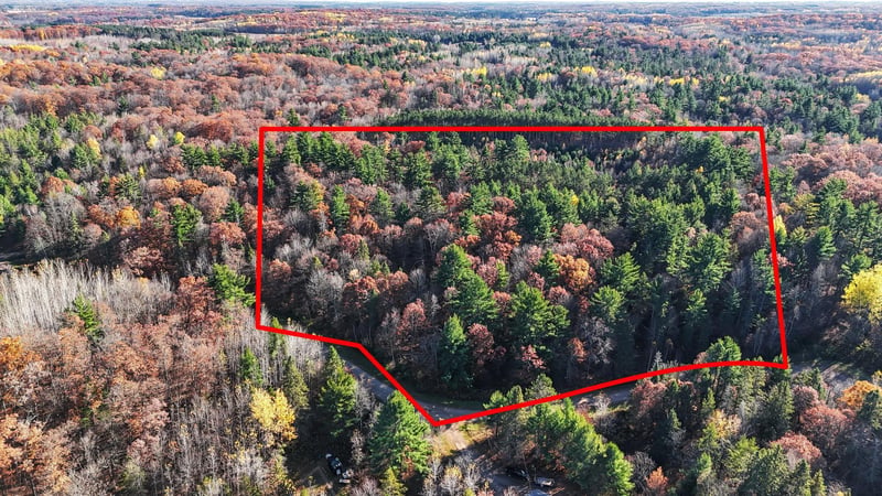 TBD Bean Brook Ln, Stone Lake, WI 54876