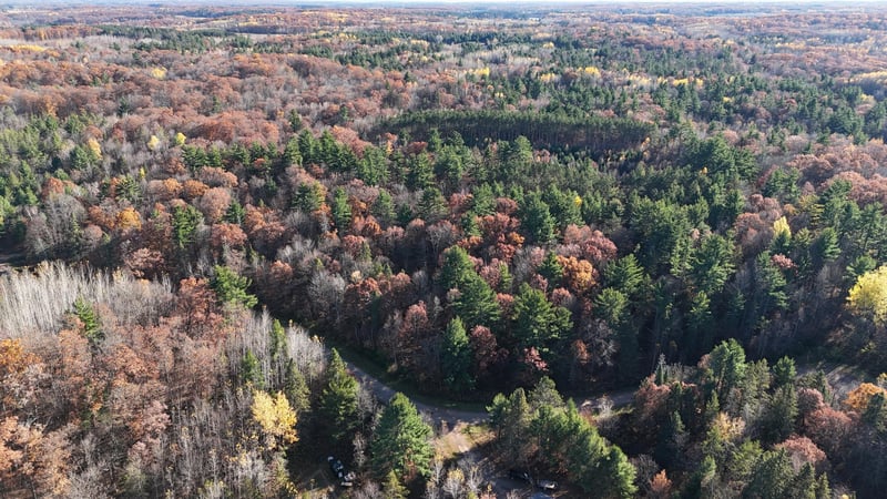 TBD Bean Brook Ln, Stone Lake, WI 54876