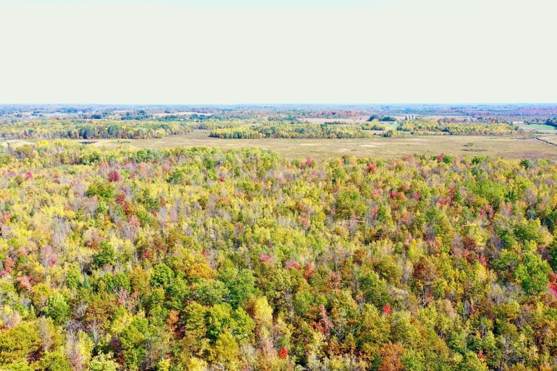 58280 Boundary Line Rd, Askov, MN 55704