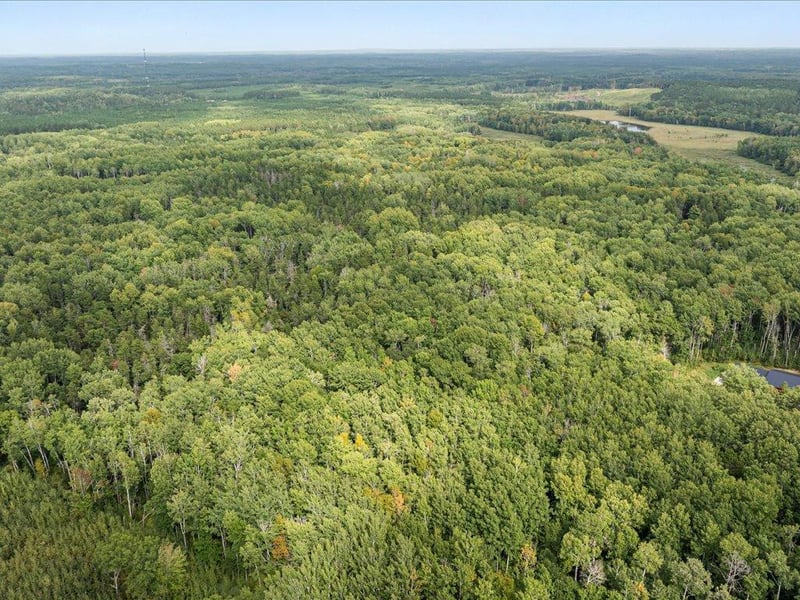 Lot A Sandbar Ln, Merrifield, MN 56465