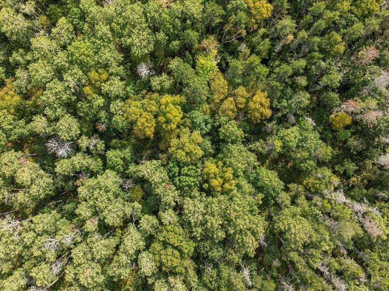 Lot A Sandbar Ln, Merrifield, MN 56465