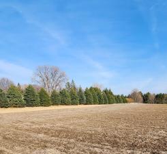 Lot 7 706th St, Wabasha, MN 55981