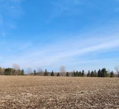 Lot 7 706th St, Wabasha, MN 55981