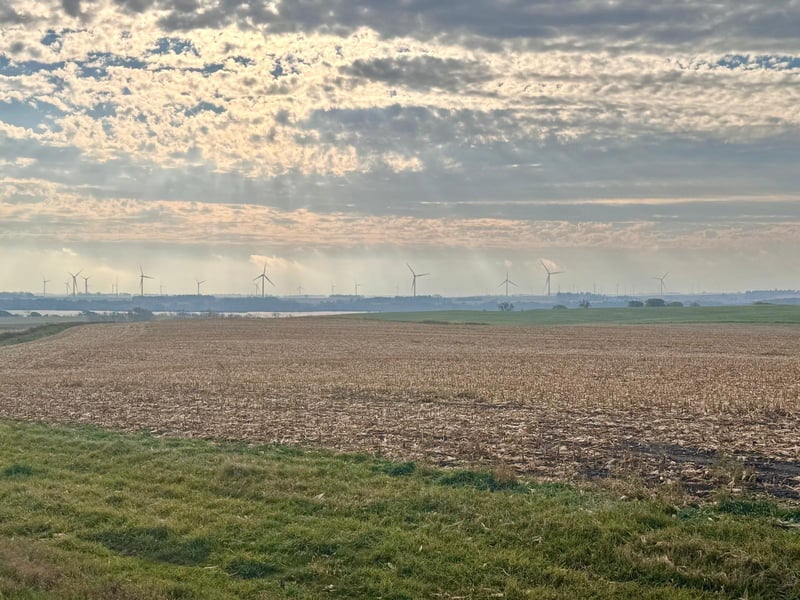 TBD Block 2 Lot 5 County Road 124, Lake Benton, MN 56149