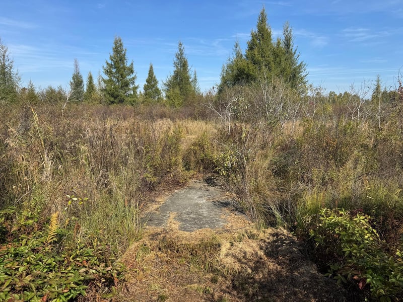 TBD 460th Ln, Palisade, MN 56469