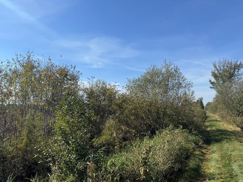 TBD 460th Ln, Palisade, MN 56469