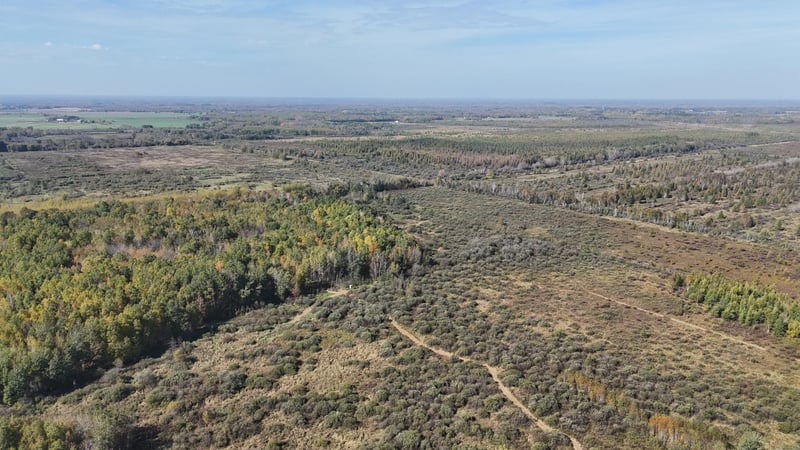 TBD 460th Ln, Palisade, MN 56469