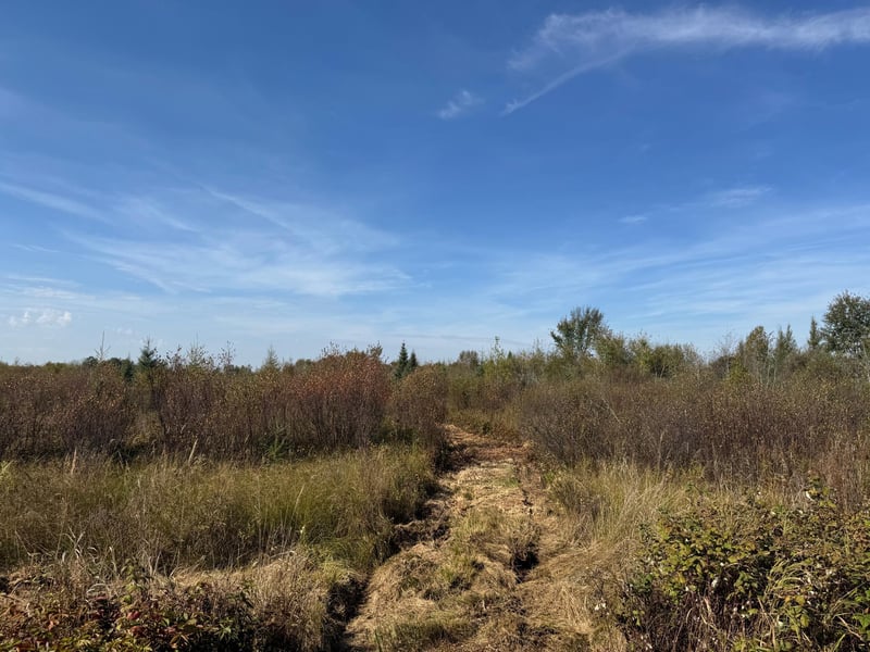 TBD 460th Ln, Palisade, MN 56469