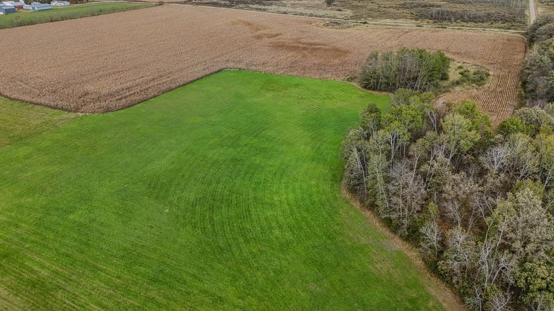 1xxx Apron Rd, Randall, MN 56475
