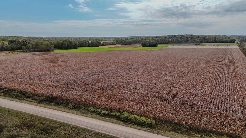 1xxx Apron Rd, Randall, MN 56475