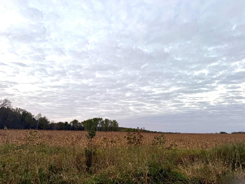 1xxx Apron Rd, Randall, MN 56475