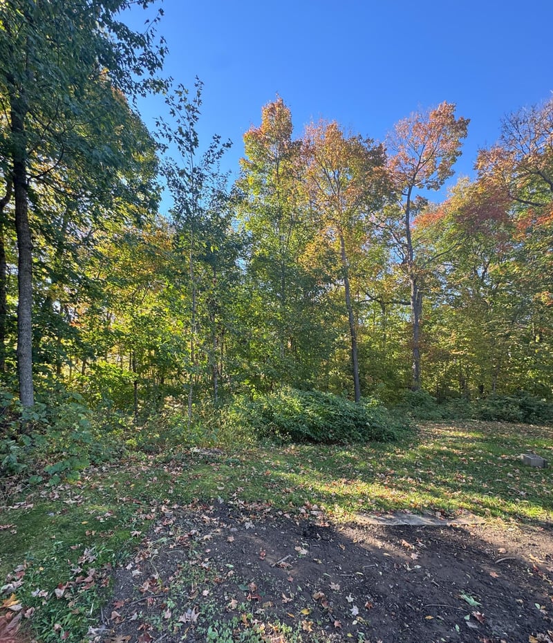 46775 Earle Brown Dr, Garrison, MN 56450