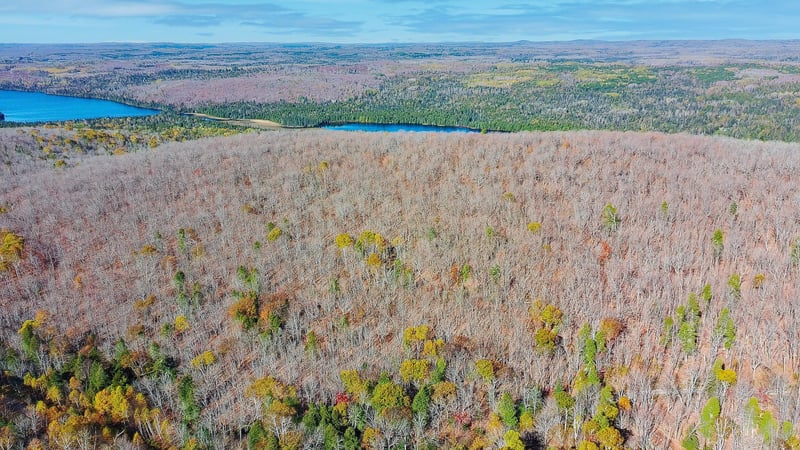 xx W Deeryard Lake Rd, Lutsen, MN 55612