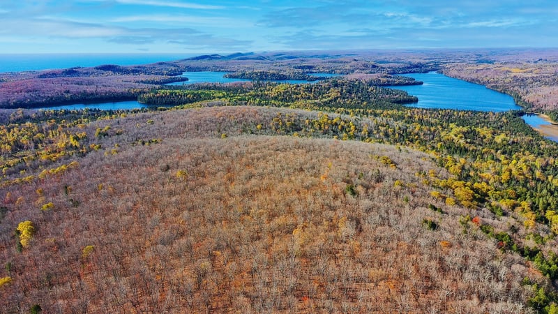 xx W Deeryard Lake Rd, Lutsen, MN 55612