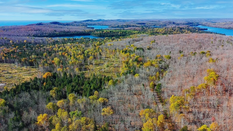 xx W Deeryard Lake Rd, Lutsen, MN 55612
