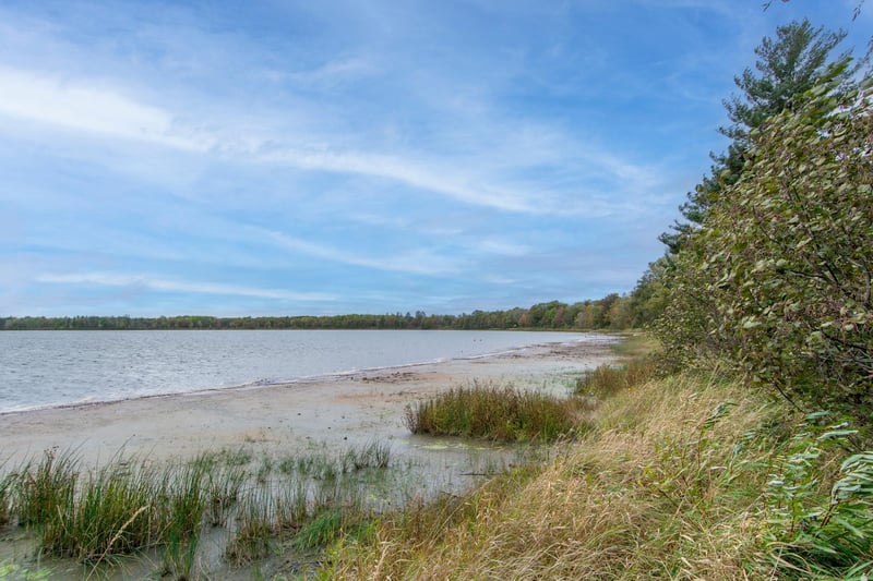 TBD Harriet Lake Trail Nw, Backus, MN 56435