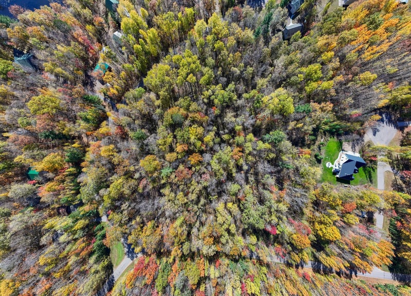 40401 Little Pine River Rd, Emily, MN 56447