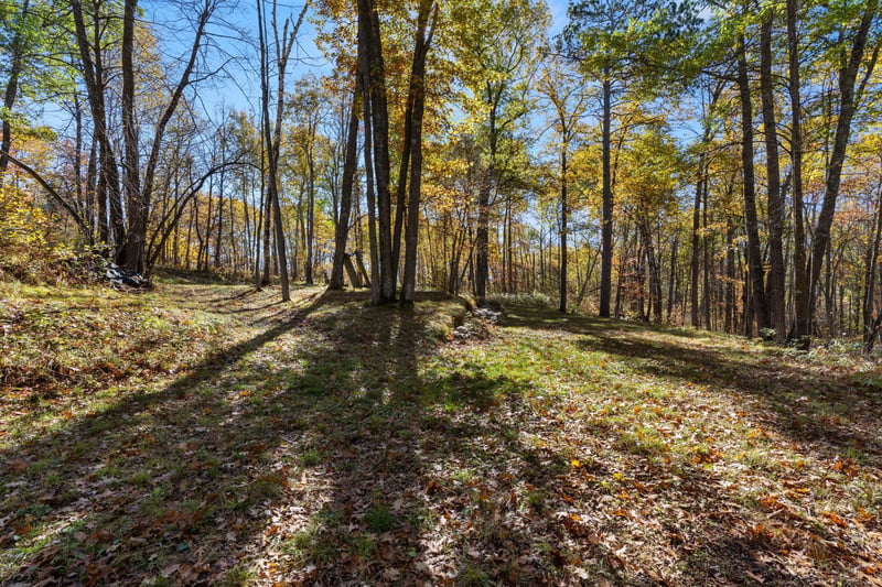 40401 Little Pine River Rd, Emily, MN 56447