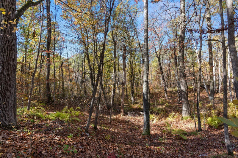 40401 Little Pine River Rd, Emily, MN 56447