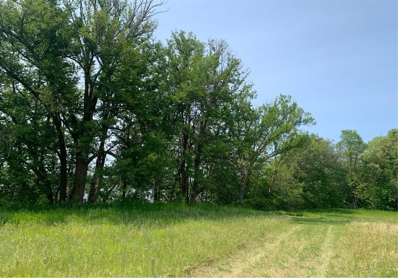 Lt 1 Wood Lake Dr SE, Erskine, MN 56535