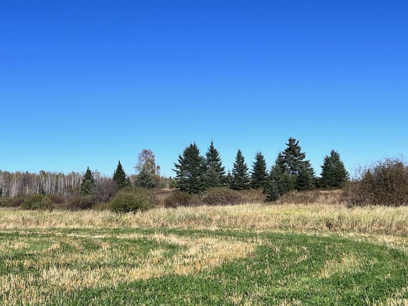 TBD Leander Rd, Angora, MN 55703