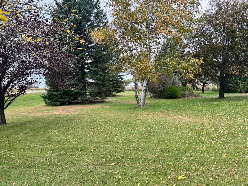 2256 90th St SW, Appleton, MN 56208