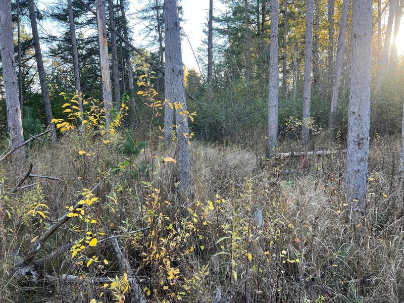 000 State Hwy 23 S, Sandstone, MN 55072