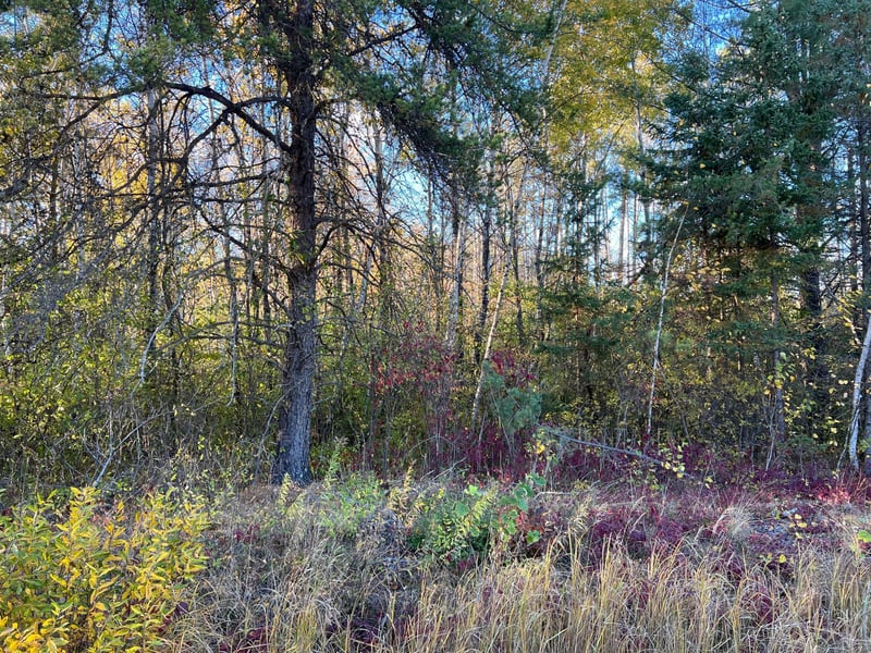 000 State Hwy 23 S, Sandstone, MN 55072