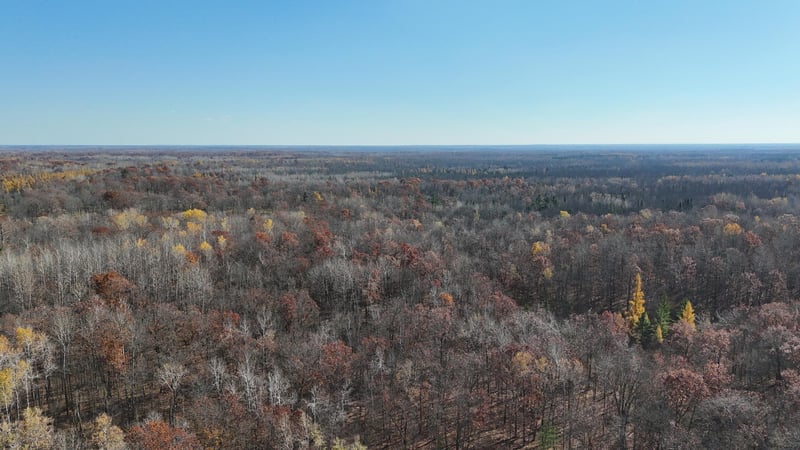 TBD Grace Lake Rd, Sandstone, MN 55072
