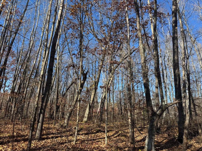 TBD Grace Lake Rd, Sandstone, MN 55072