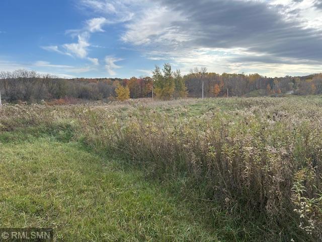 xxx 205 St, Luck, WI 54853