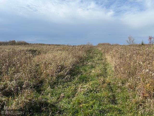 xxx 205 St, Luck, WI 54853