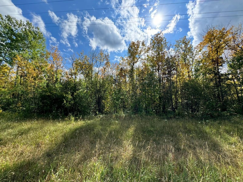 TBD 66th St NW, Williams, MN 56686