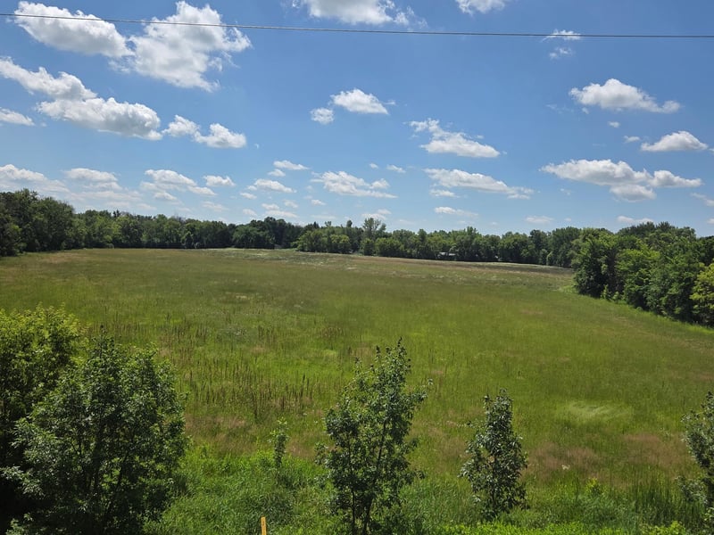xxxx Lincoln St, Delano, MN 55328