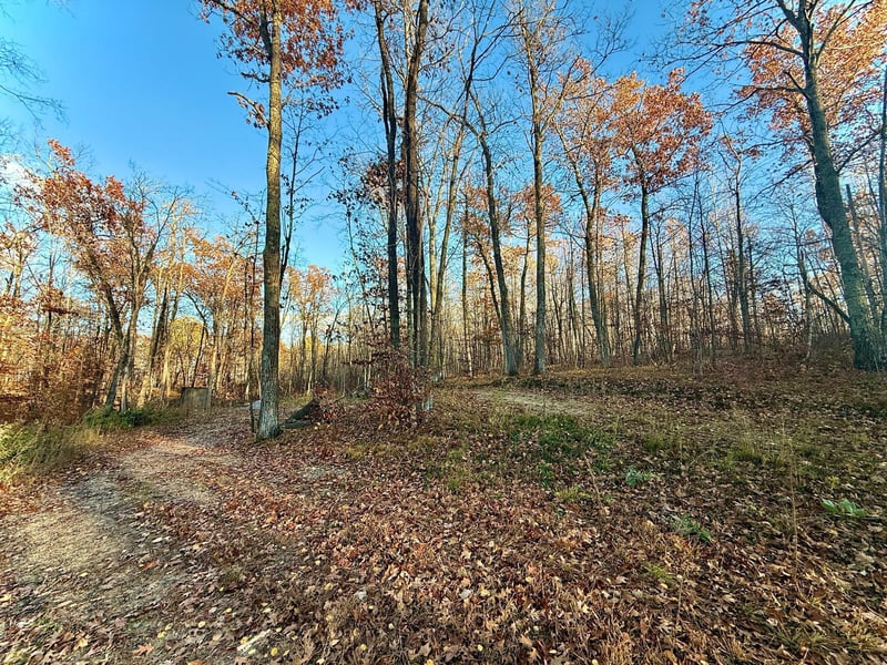 TBD Turtle Ln NW, Walker, MN 56484