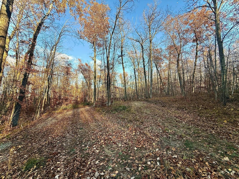 TBD Turtle Ln NW, Walker, MN 56484