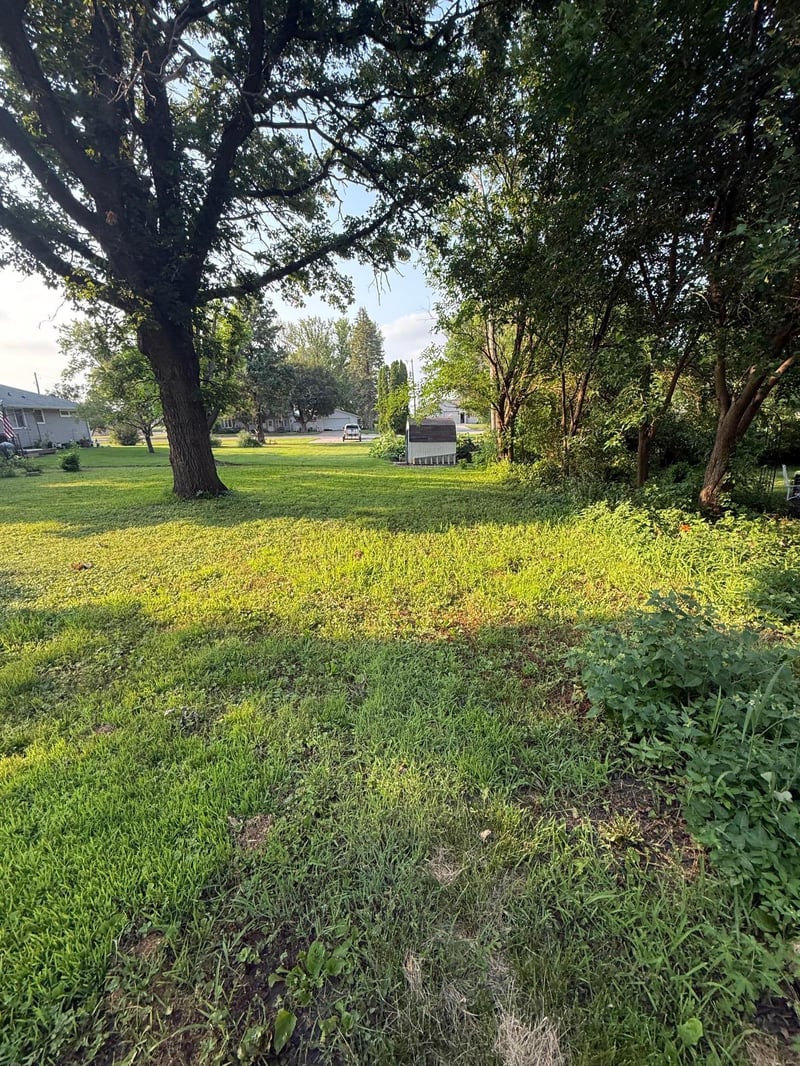 523 E 11th St, Gibbon, MN 55335