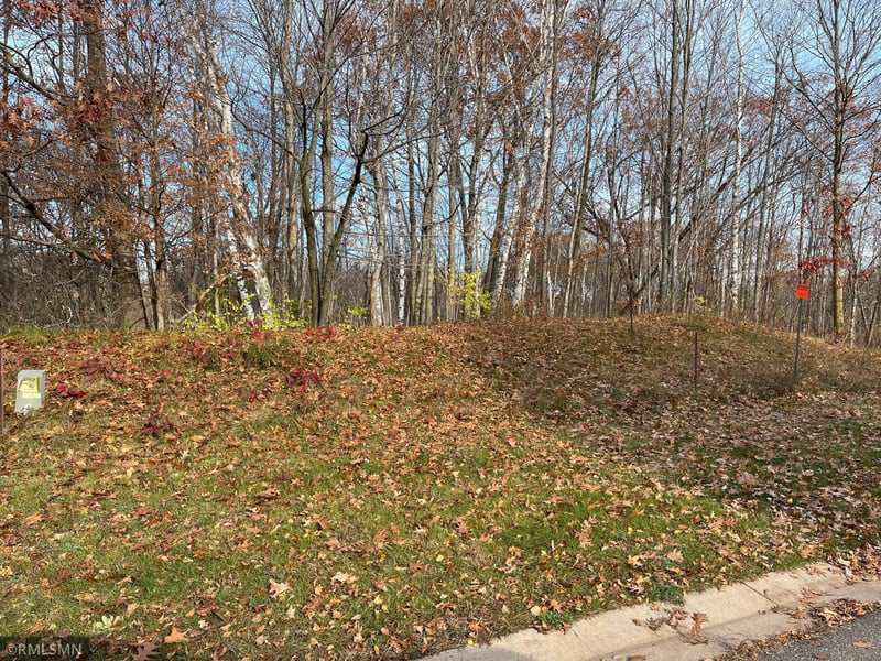 LOT 8 Wilderness Hills Ln, Luck, WI 54853