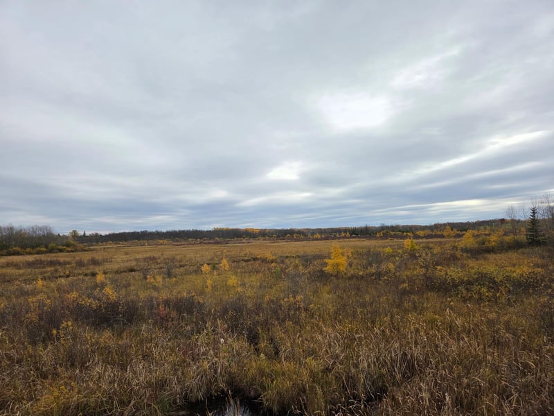 111 Atv Snowmobile Trail Bridge, Blackduck, MN 56630