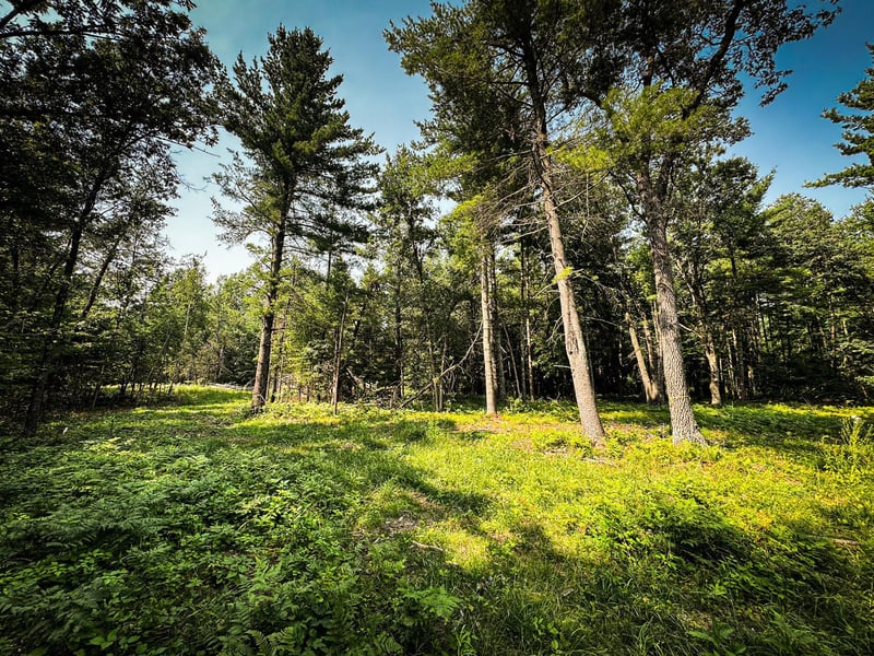 26987 Marias Way, Webster, WI 54893