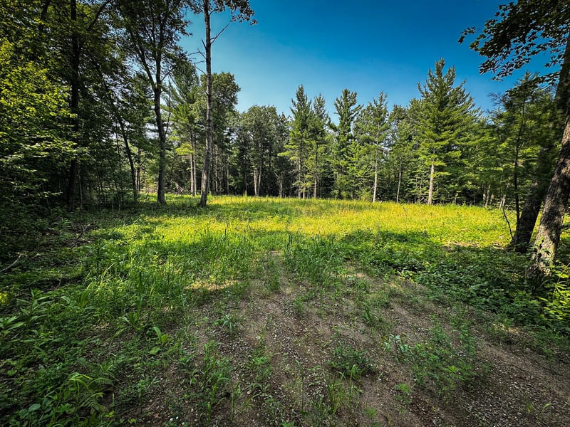 26987 Marias Way, Webster, WI 54893