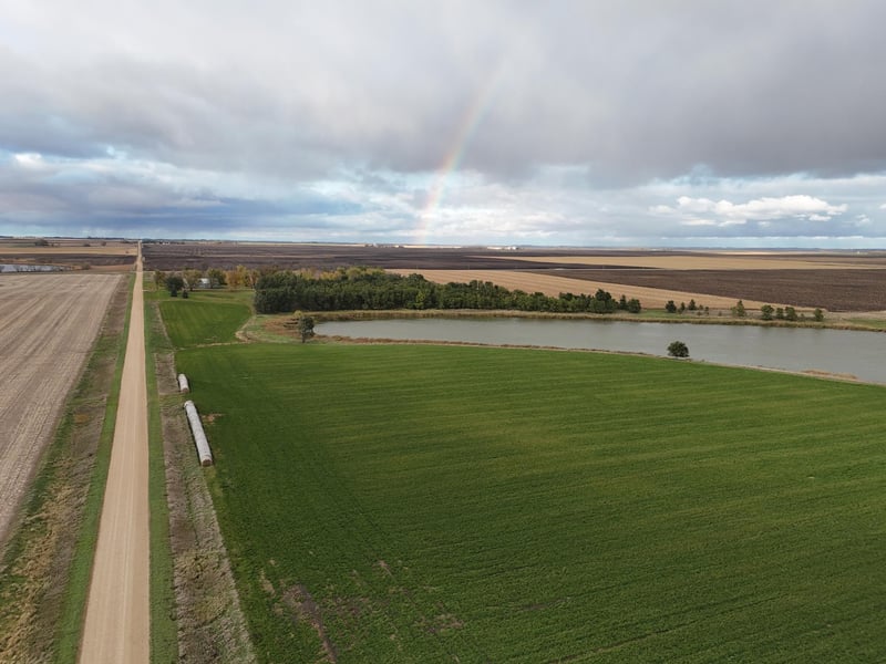 XXXXX 540th Ave, Alberta, MN 56207