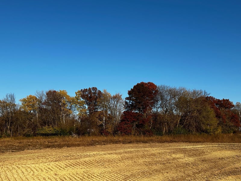 Lot 6 151st Avenue Se, Becker, MN 55308