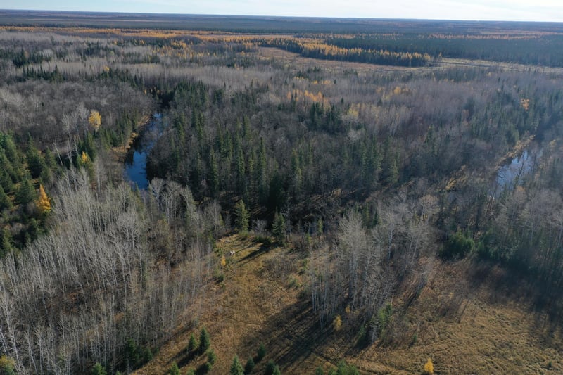 TBD Township Rd 98, Loman, MN 56654