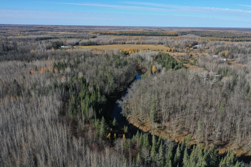 TBD Township Rd 98, Loman, MN 56654