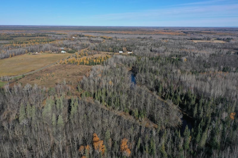 TBD Township Rd 98, Loman, MN 56654