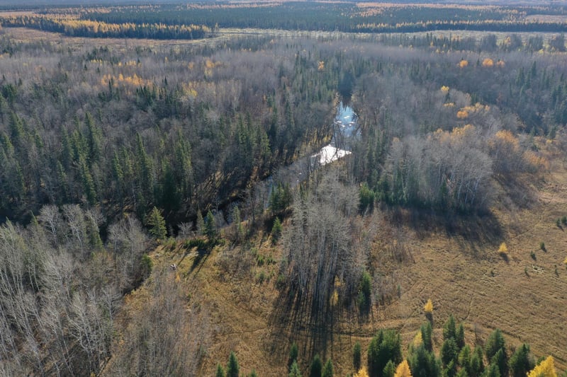 TBD Township Rd 98, Loman, MN 56654