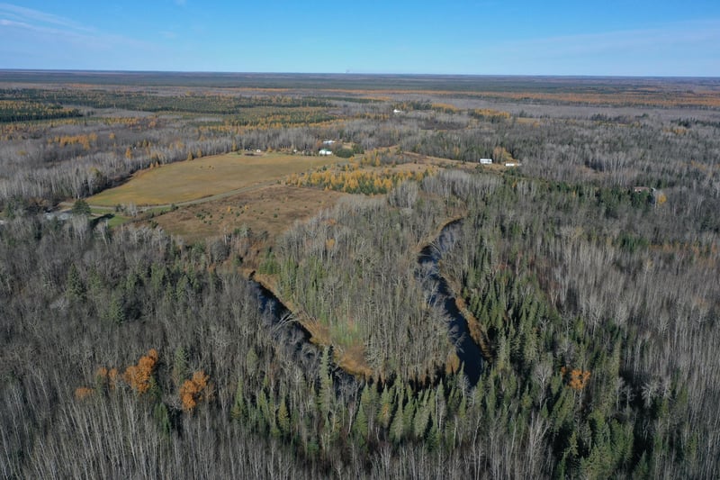 TBD Township Rd 98, Loman, MN 56654
