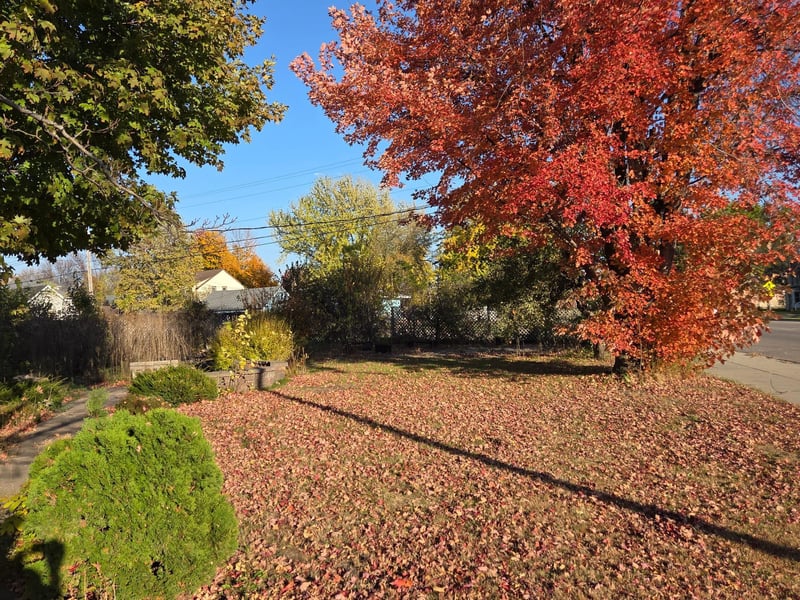 1550 Minnesota Ave, Benson, MN 56215