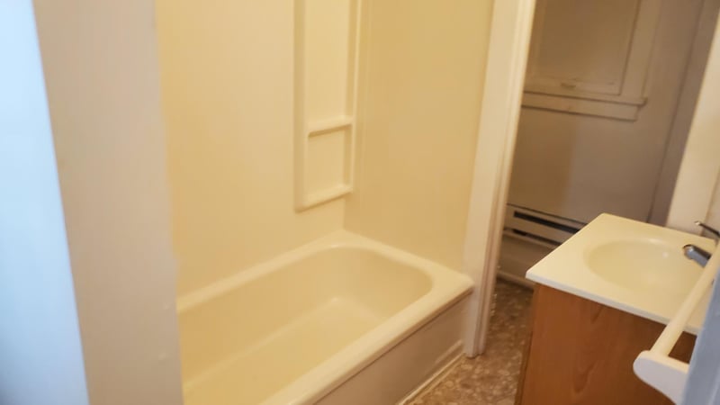 221 Bridge St, Le Sueur, MN 56058